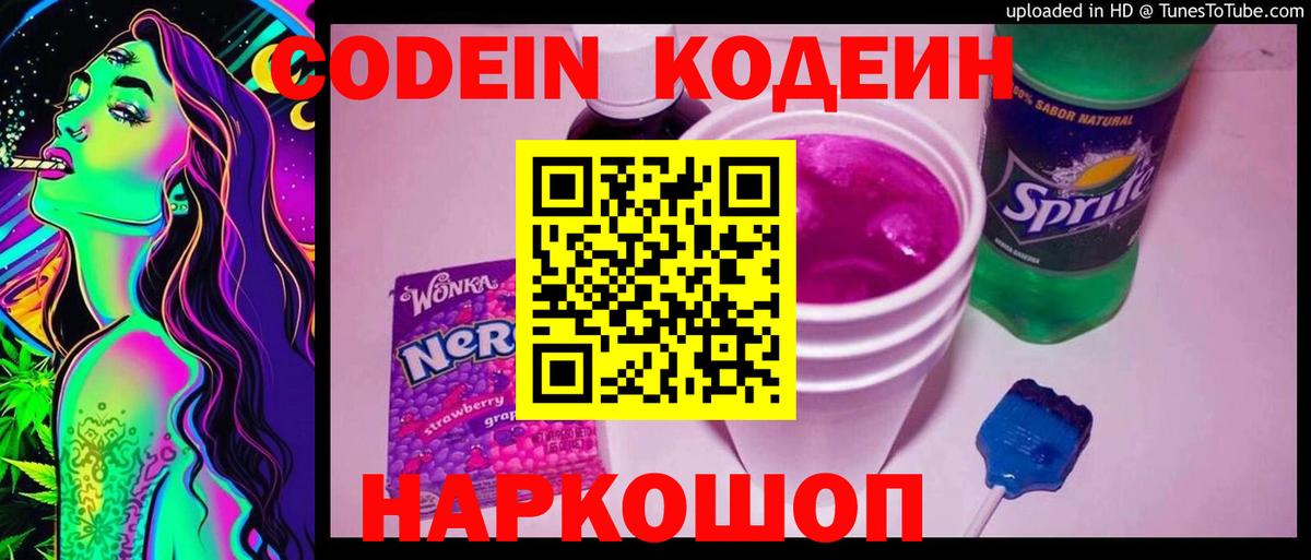Петропавловск-Камчатский  купить наркотики сайты  Кодеин Purple Drank  Вход с VPN  Кодеин напиток Lean (лин) 