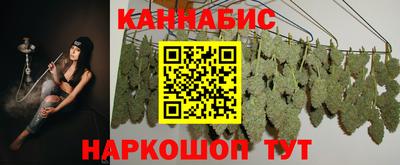 СК Рыбинск