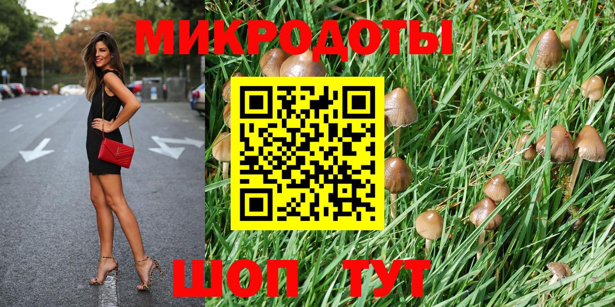 Галлюциногенные грибы Psilocybe  Псилоцибиновые грибы прущие грибы  Вход с VPN  Петропавловск-Камчатский 
