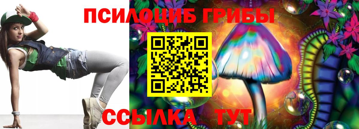 Псилоцибиновые грибы Psilocybine cubensis Петропавловск-Камчатский